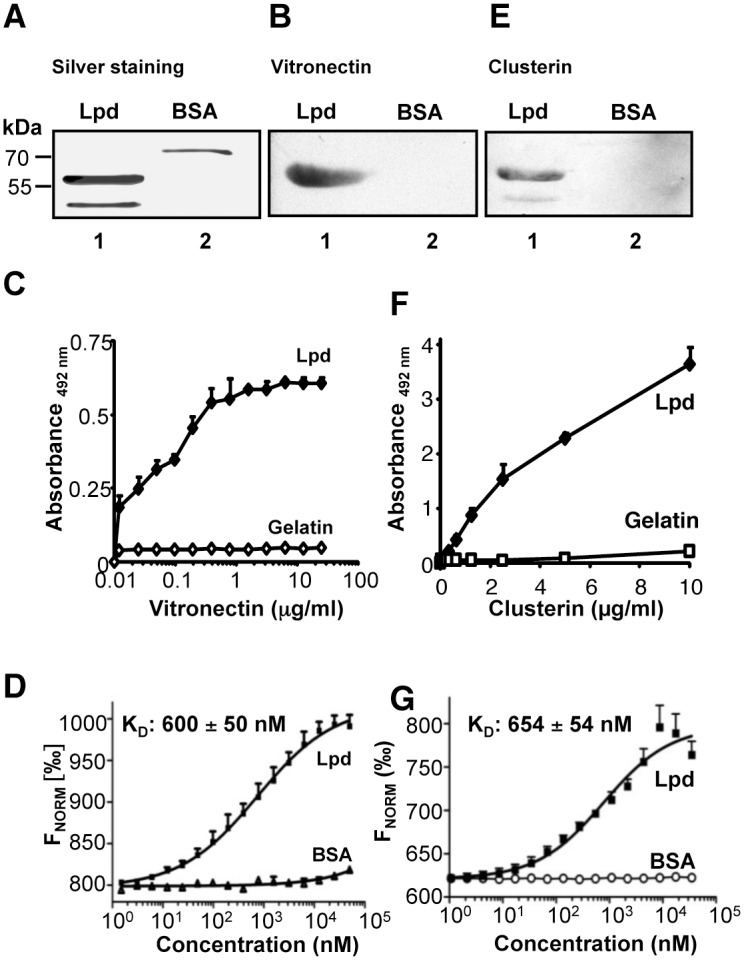 Fig 5