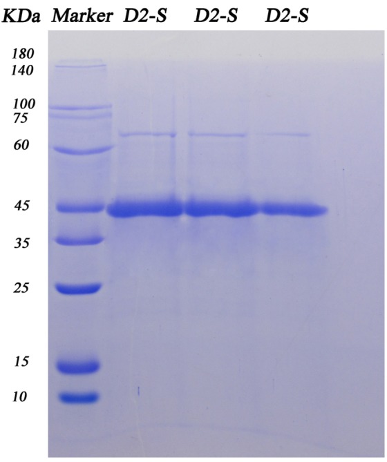 Fig. 4.