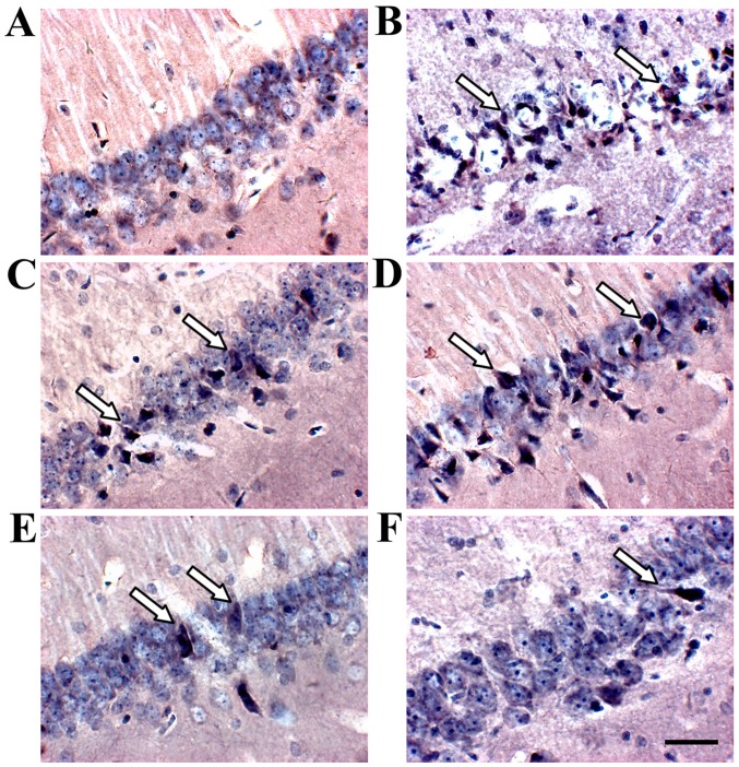 Figure 7.