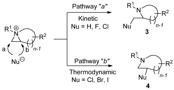 Scheme 3