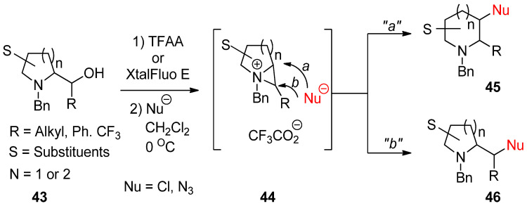 Scheme 13