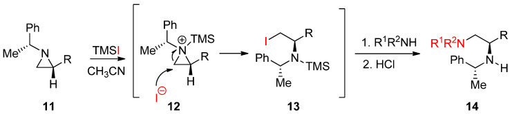 Scheme 5