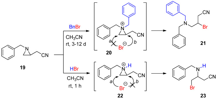 Scheme 7