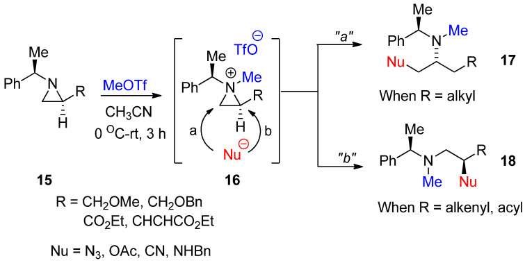 Scheme 6