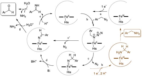 Scheme 2