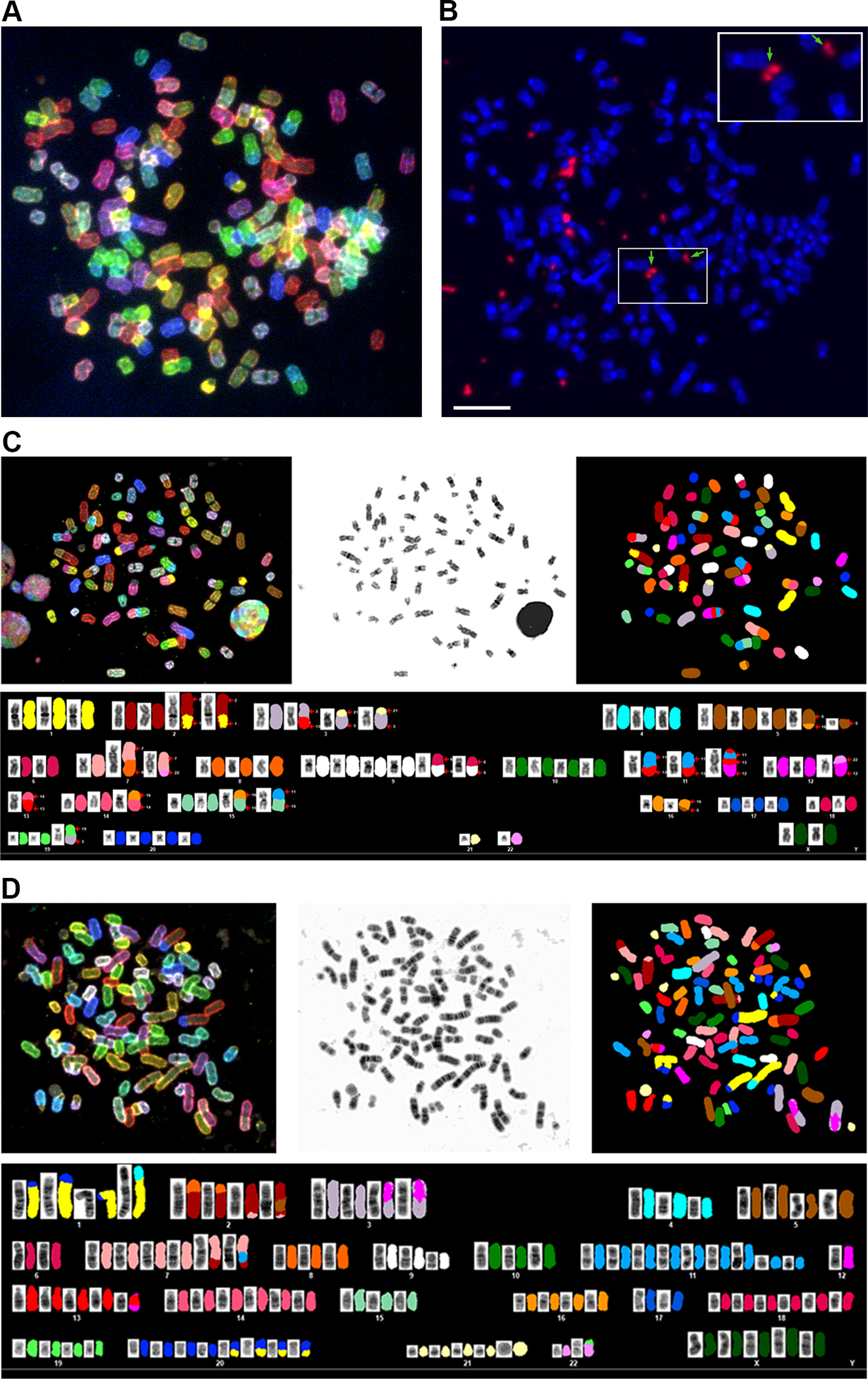 Figure 3.