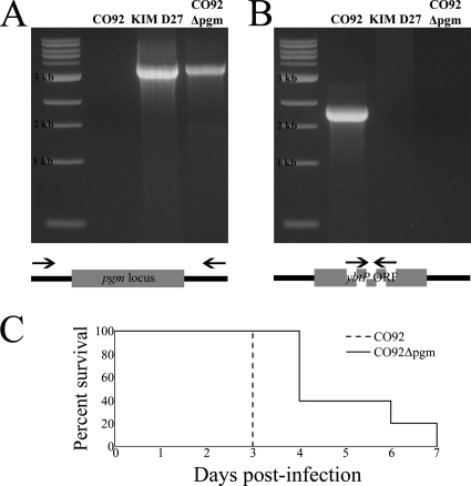 FIG. 7.