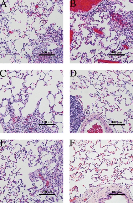 FIG. 8.