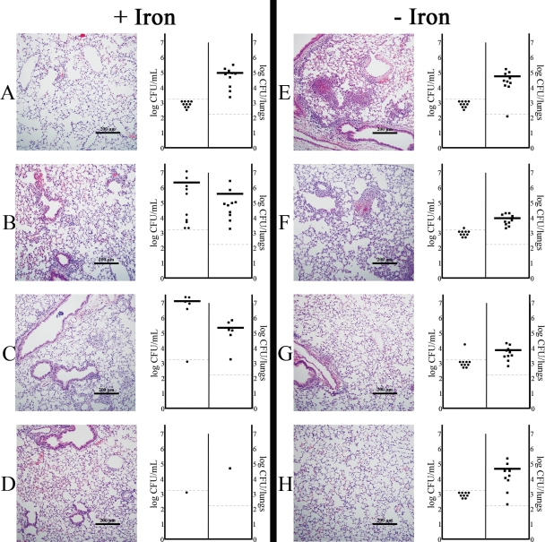 FIG. 6.