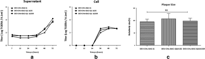 Fig. 5