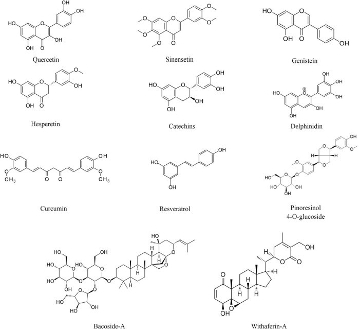 FIGURE 1