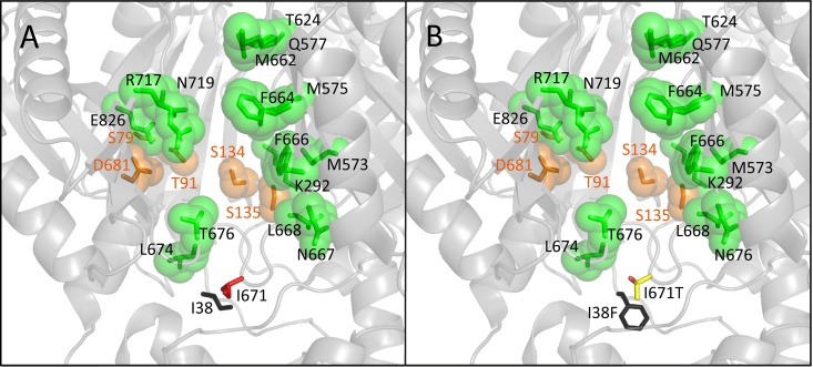 FIG 4