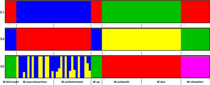 Figure 5