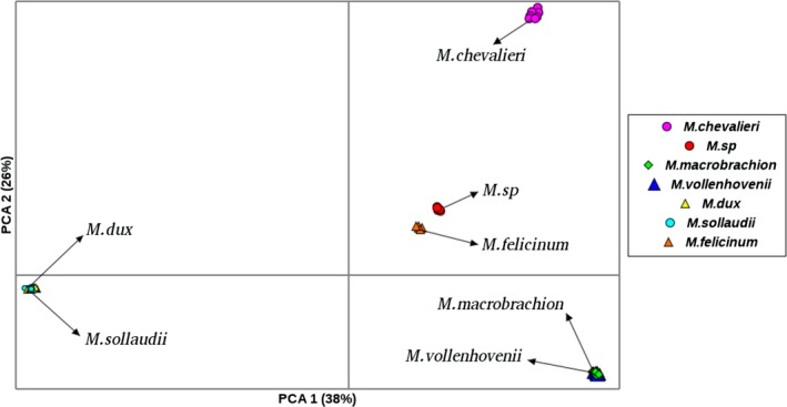 Figure 6