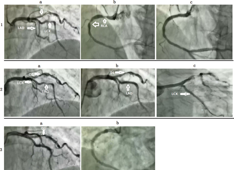 Figure 3.