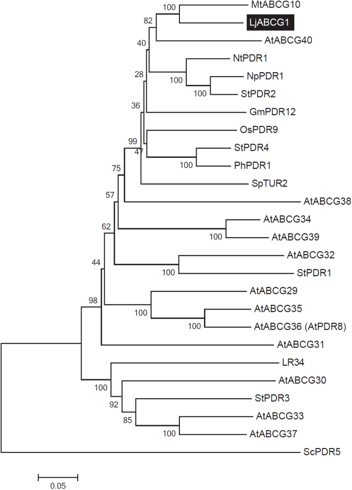 Fig 1