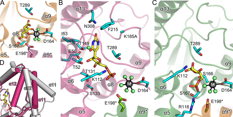 Figure 3.