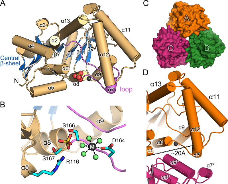 Figure 2.