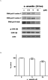 FIG 6