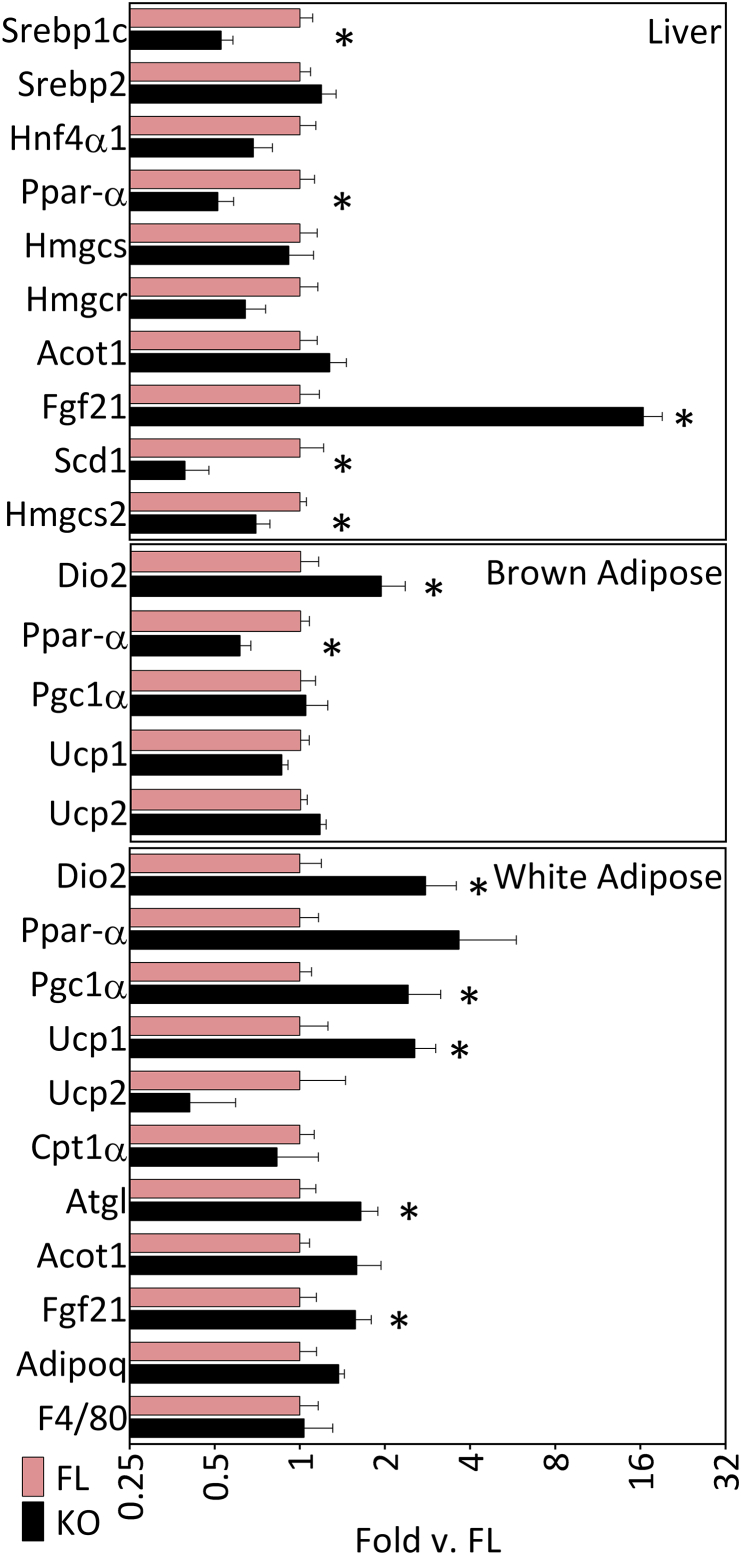 Figure 5