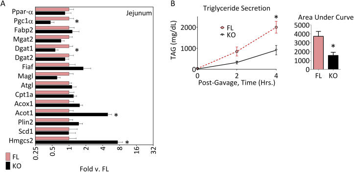 Figure 6