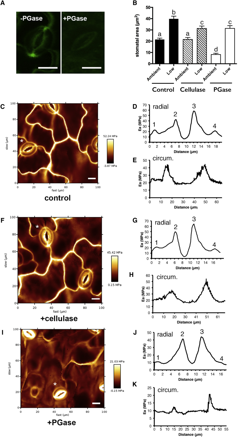 Figure 4