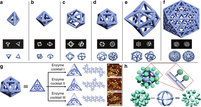 Fig. 4