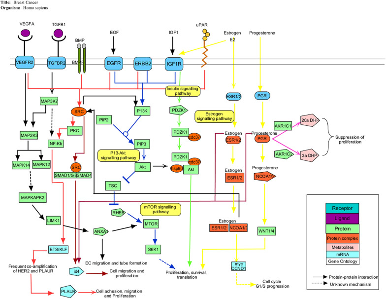 Genome-scale Meta-analysis Of Breast Cancer Datasets Identifies 