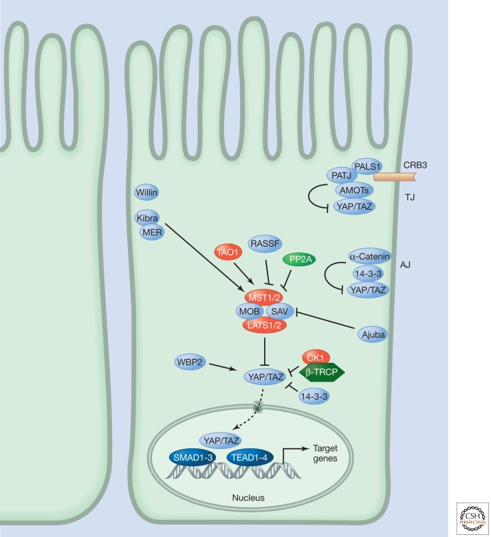 Figure 2.