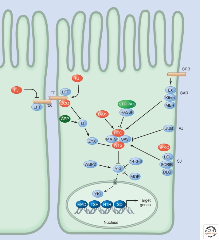 Figure 1.