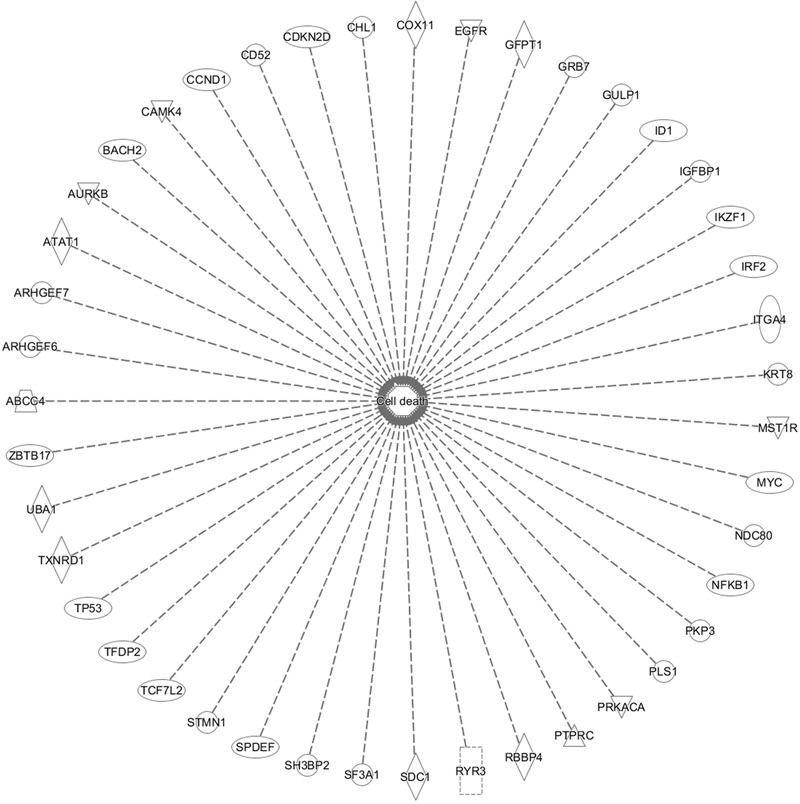 FIGURE 10