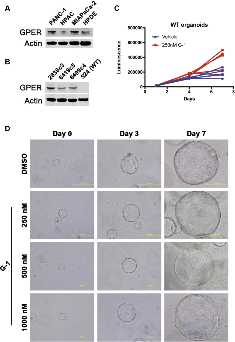 Figure 6