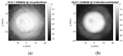 Figure 22