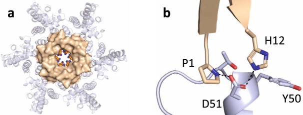 Extended Data Fig. 6