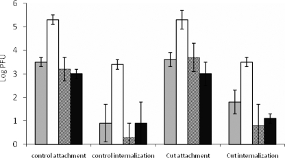 FIG. 2.