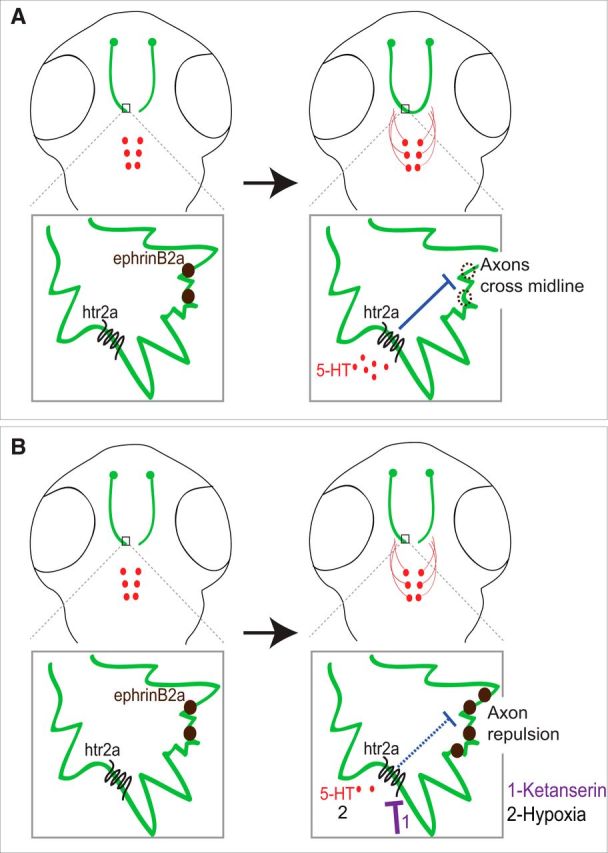 Figure 9.