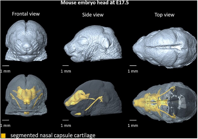 Figure 2: