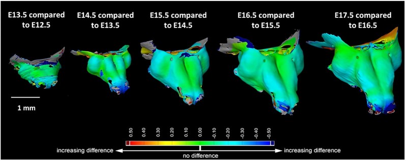 Figure 4: