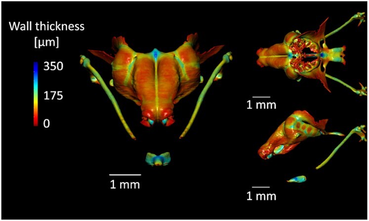 Figure 3: