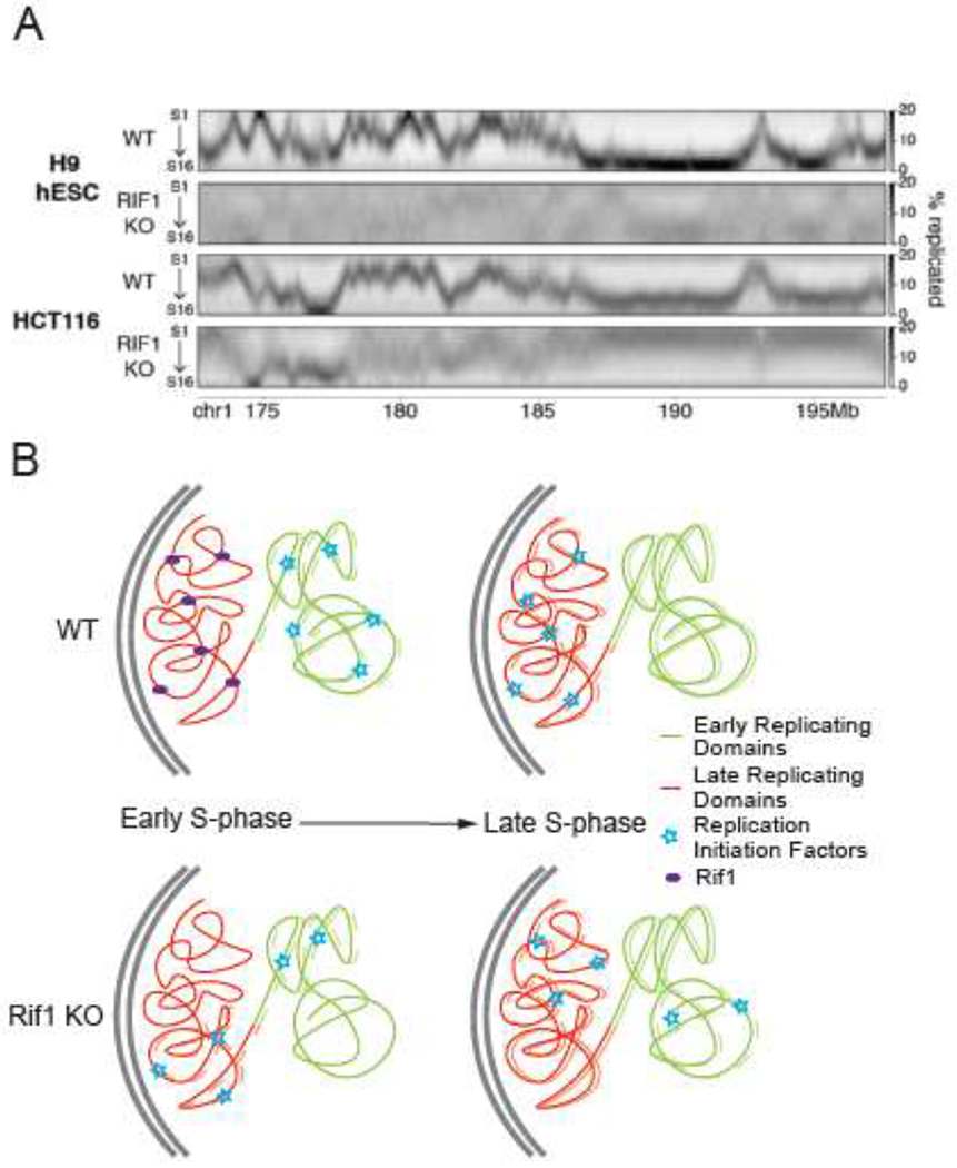 Figure 1: