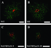 FIG. 6.