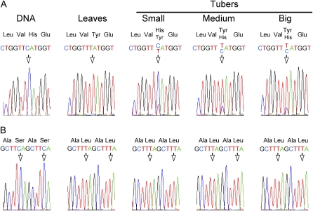 Figure 6.