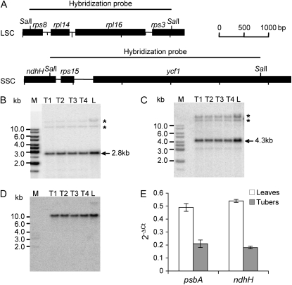 Figure 3.