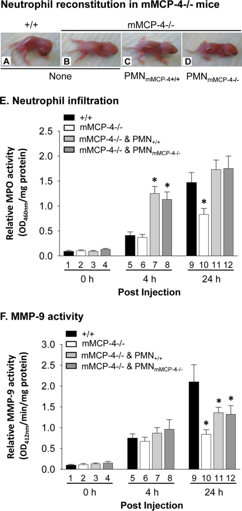 FIGURE 4.