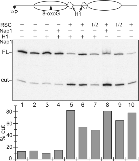 Figure 5.