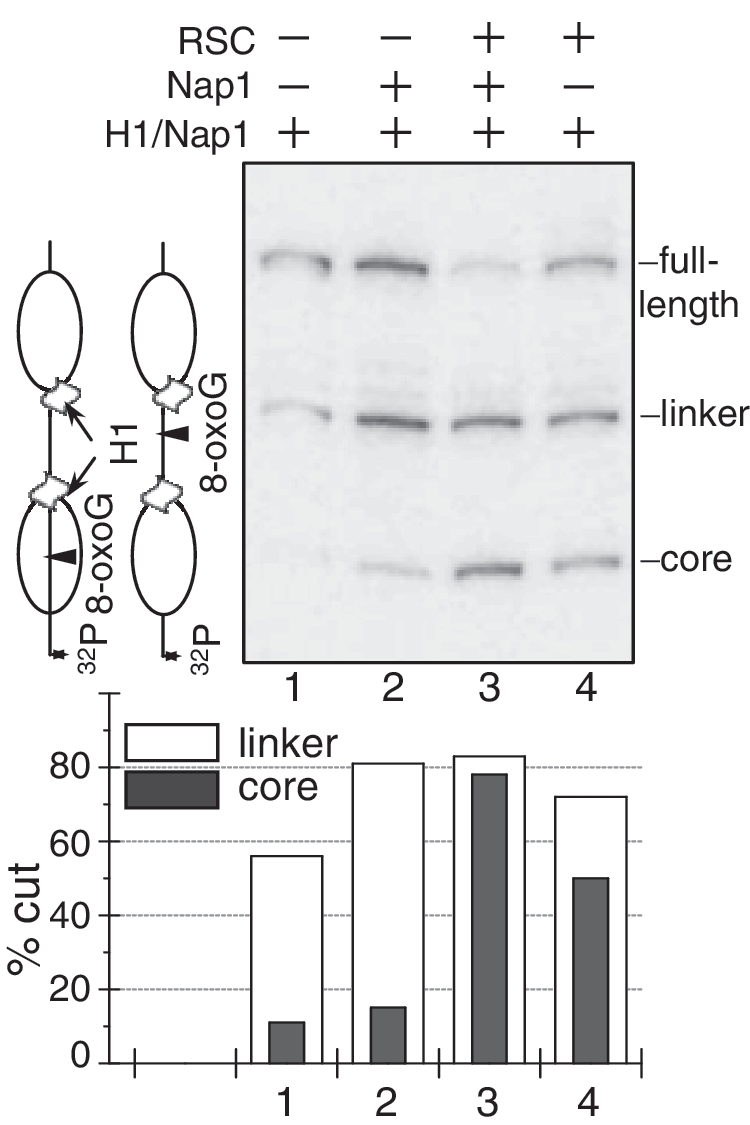 Figure 6.