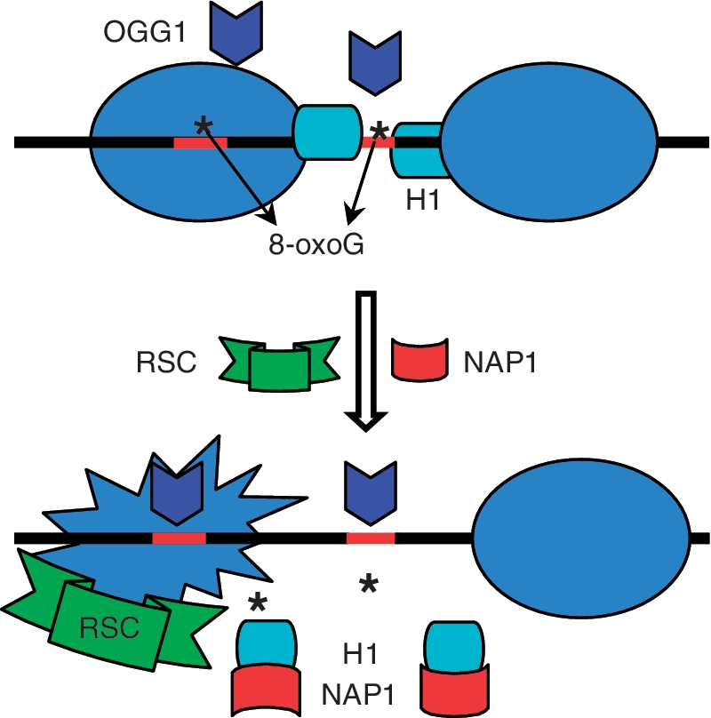 Figure 7.