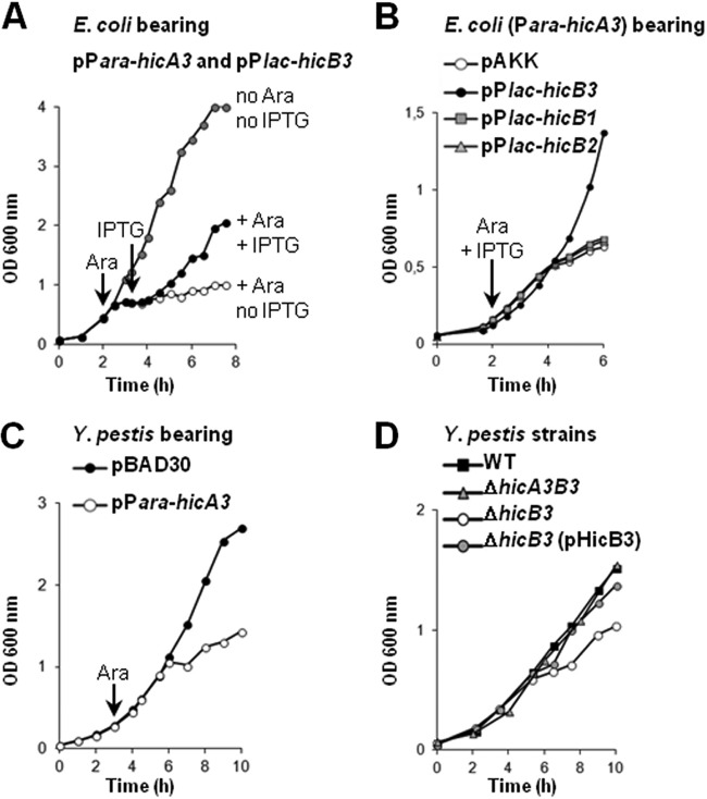 FIG 1