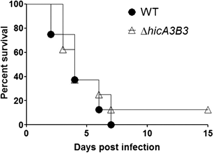 FIG 6