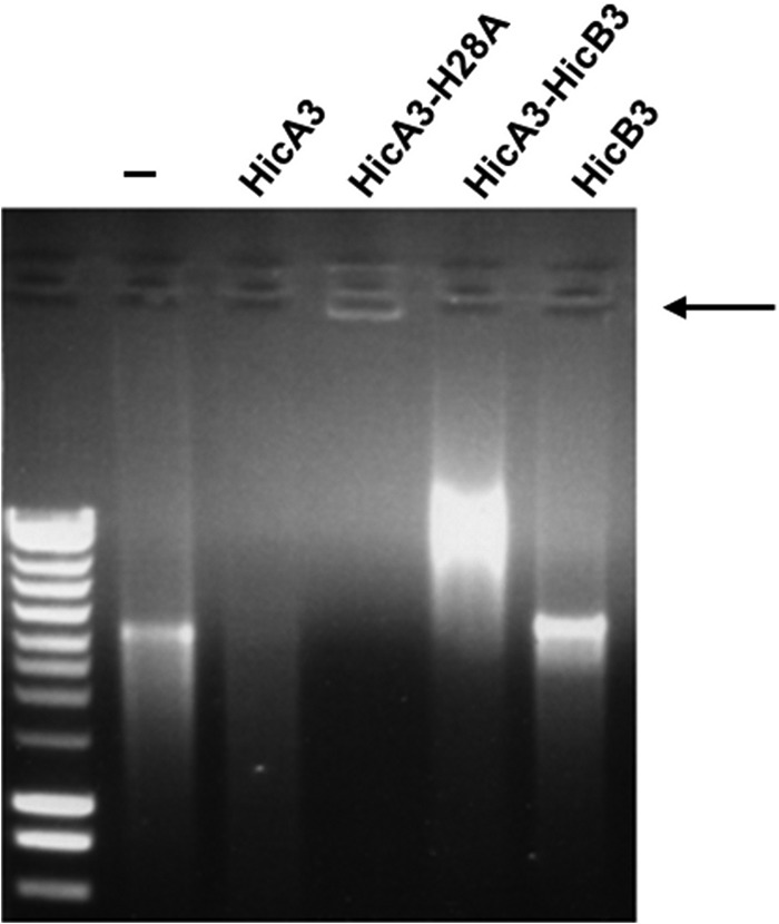 FIG 5